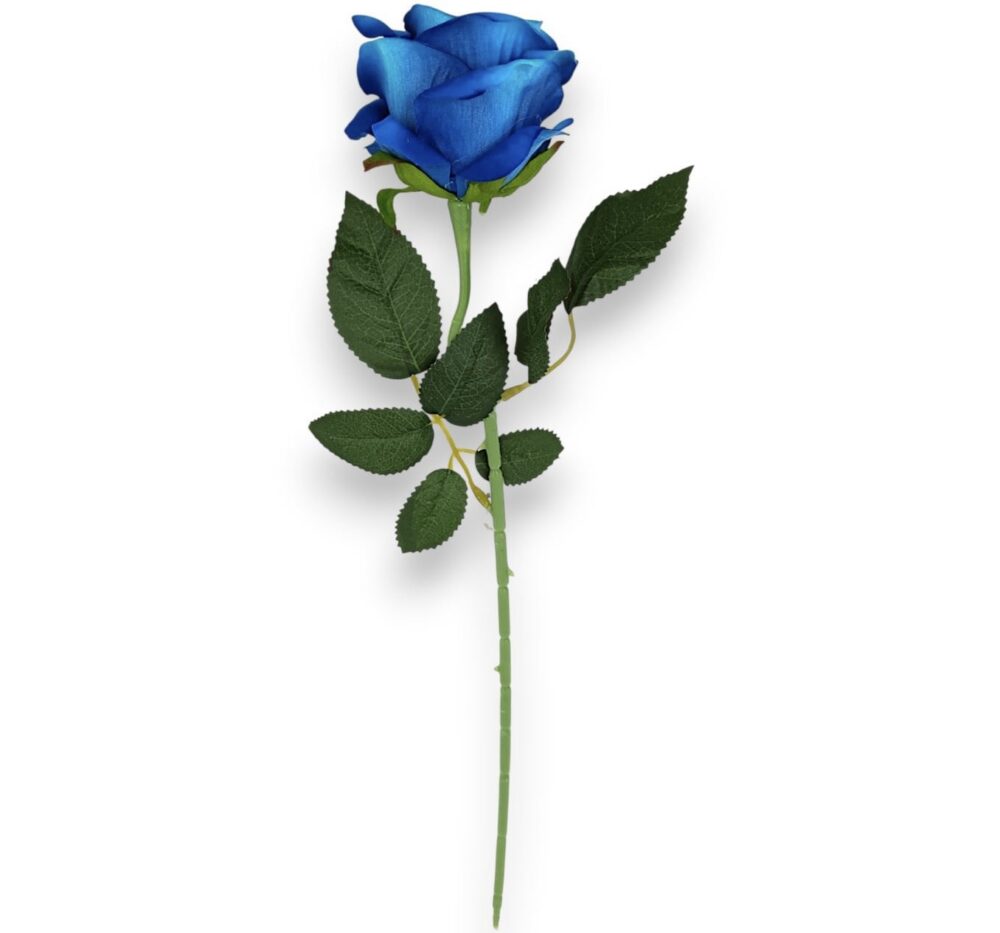 Троянда оксамитова синя - Зображення 2