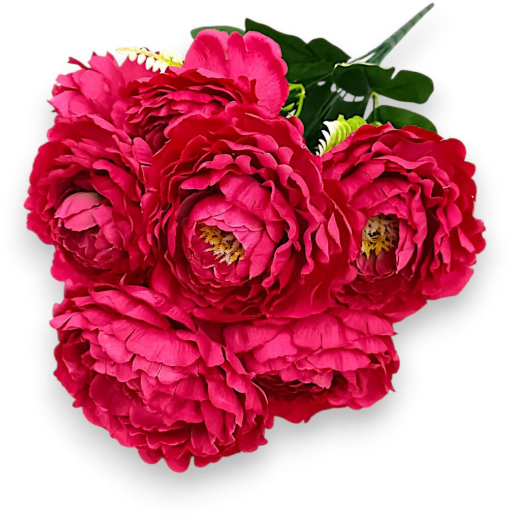 Півонія штучна королівська малинова