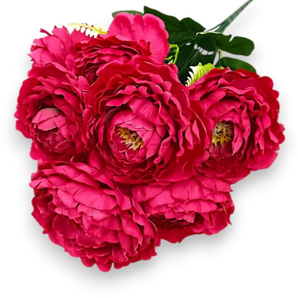 Півонія штучна королівська малинова