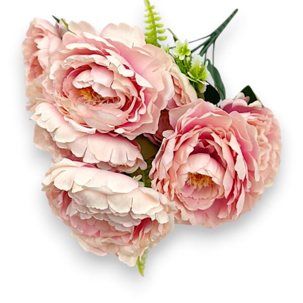 Півонія штучна королівська пудрова