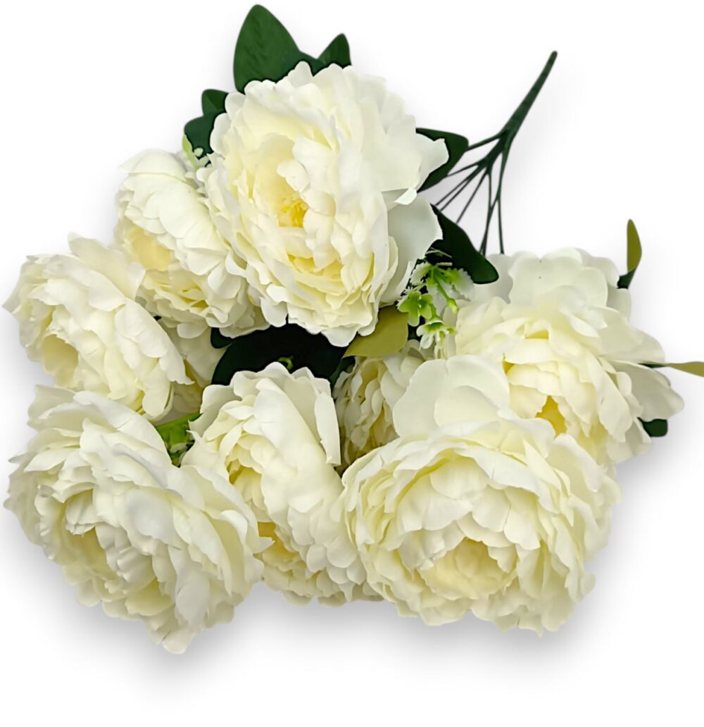 Півонія штучна королівська біла