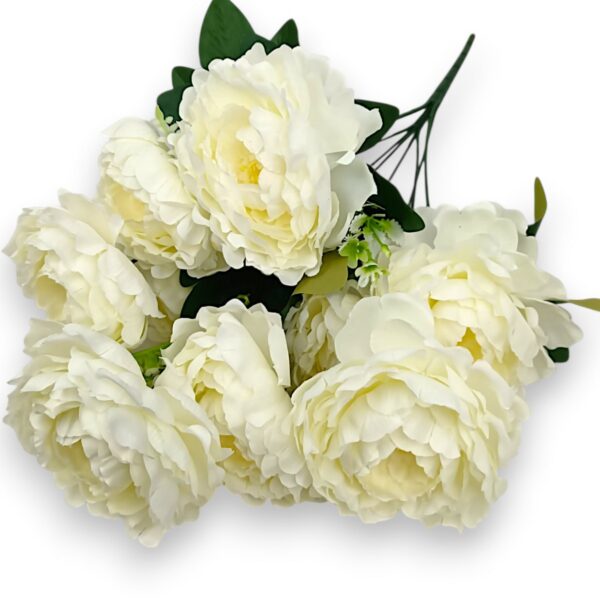 Півонія штучна королівська біла