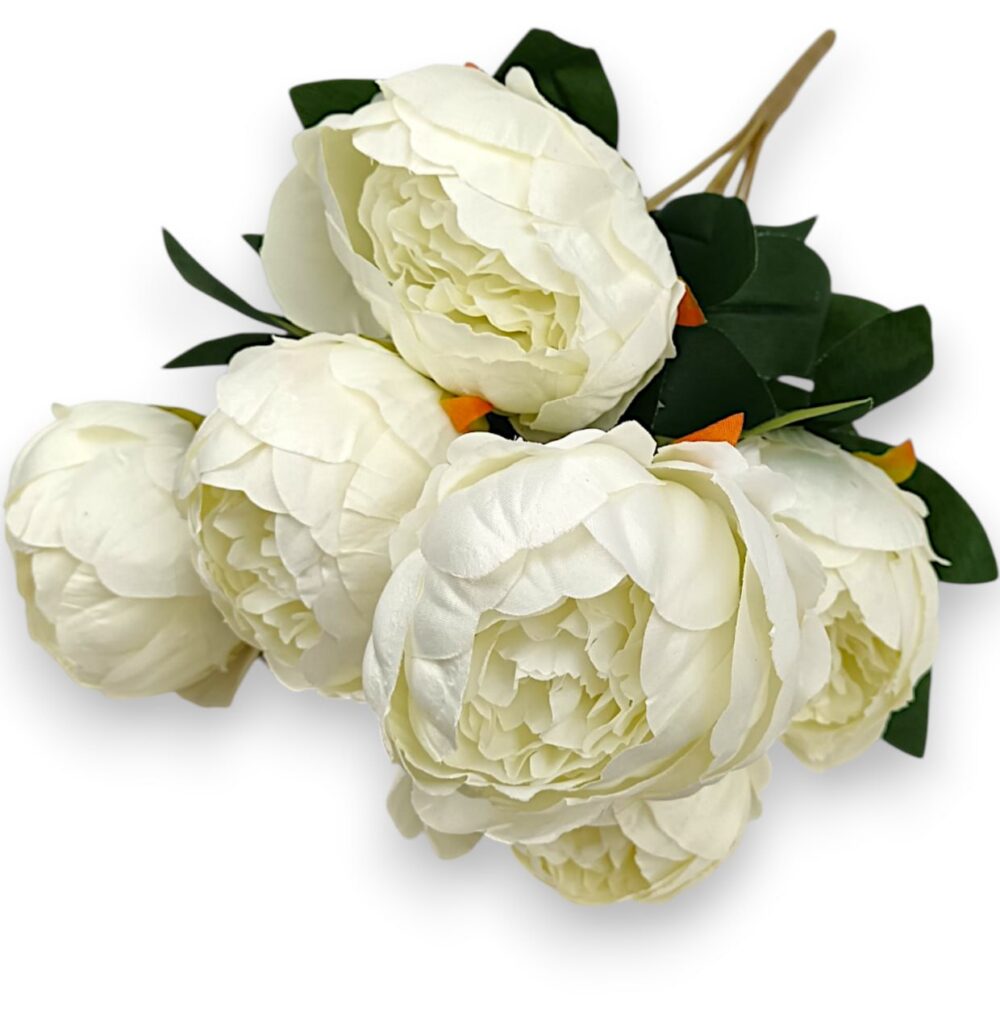 Півонія класична біла