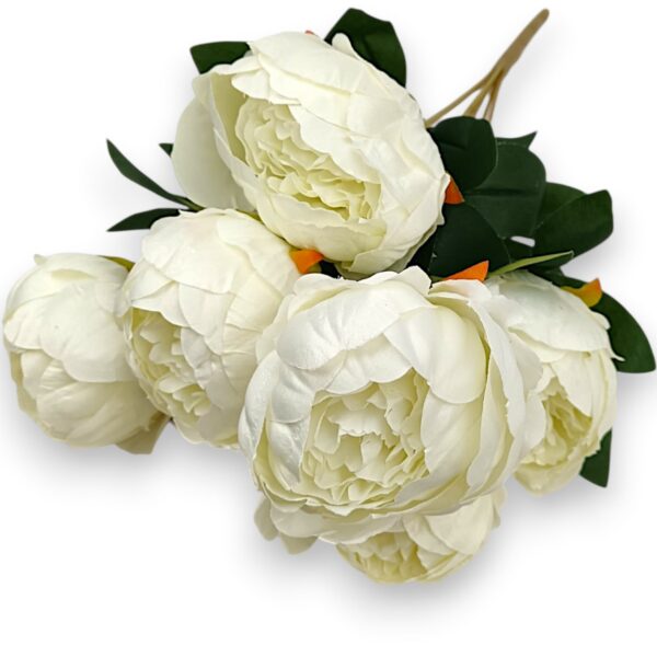 Півонія класична біла