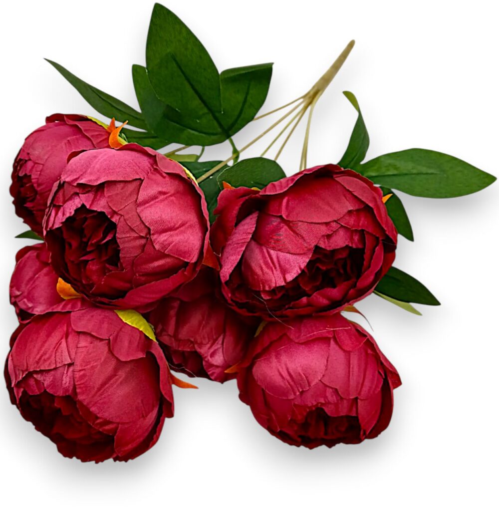 Півонія класична марсал