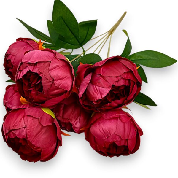 Півонія класична марсал