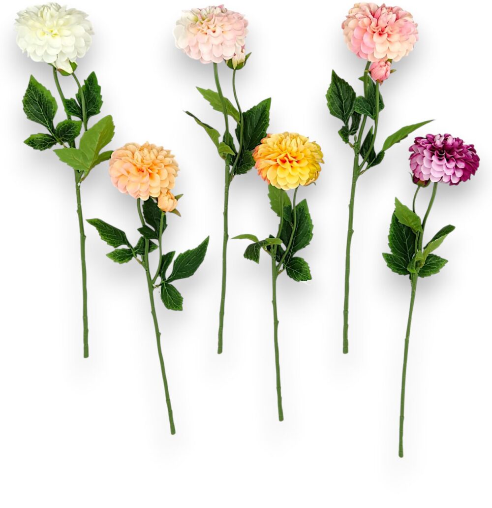 Гілка жоржини преміум біло-рожева - Зображення 2