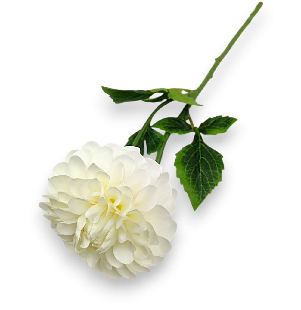 Гілка жоржини преміум біла