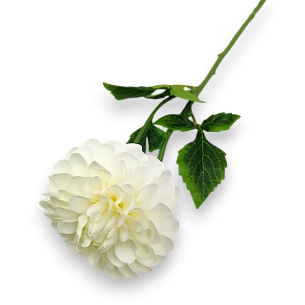 Гілка жоржини преміум біла