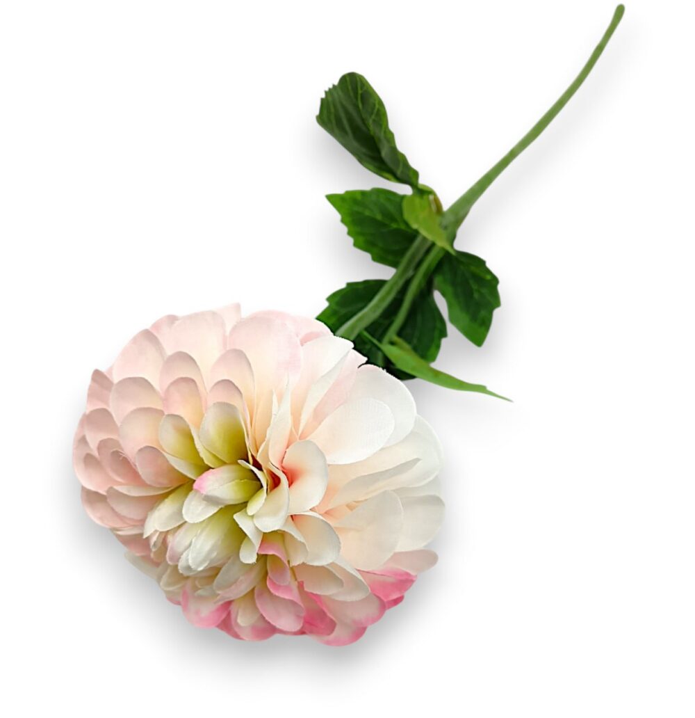 Гілка жоржини преміум біло-рожева