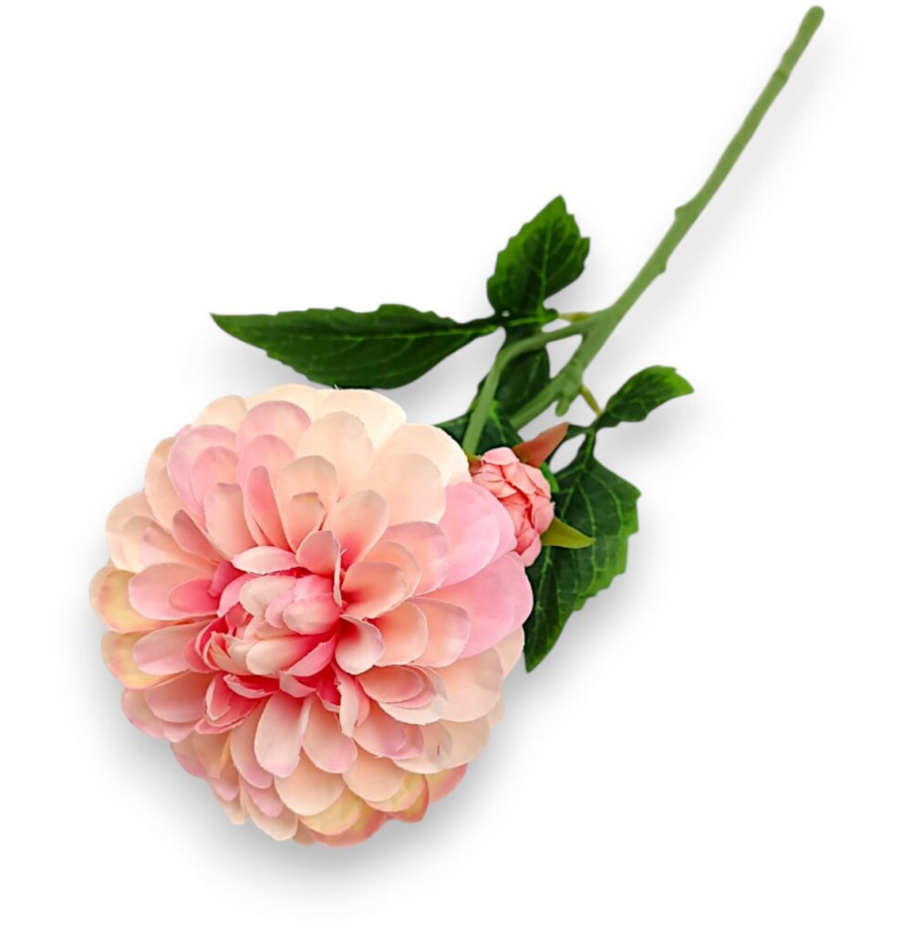 Гілка жоржини преміум рожева