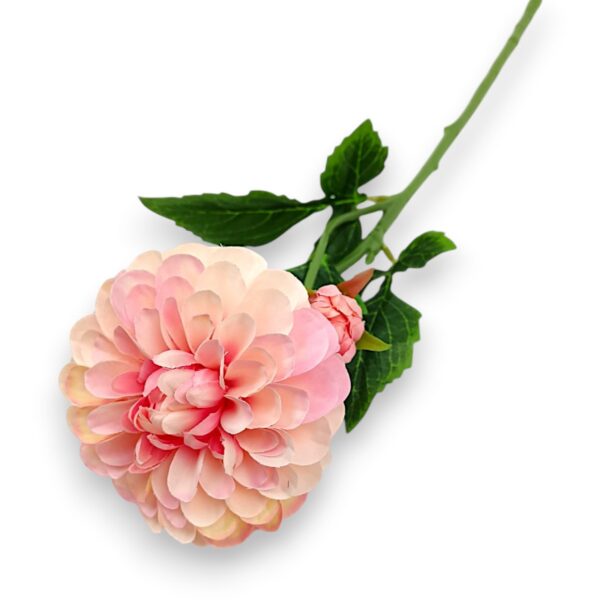 Гілка жоржини преміум рожева