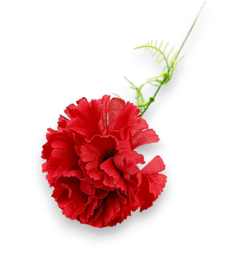 Гілка Гвоздики «Діантус» червона