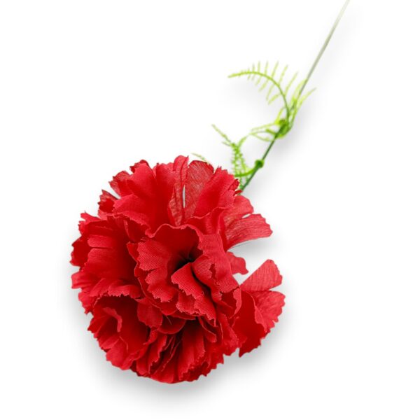 Гілка Гвоздики «Діантус» червона