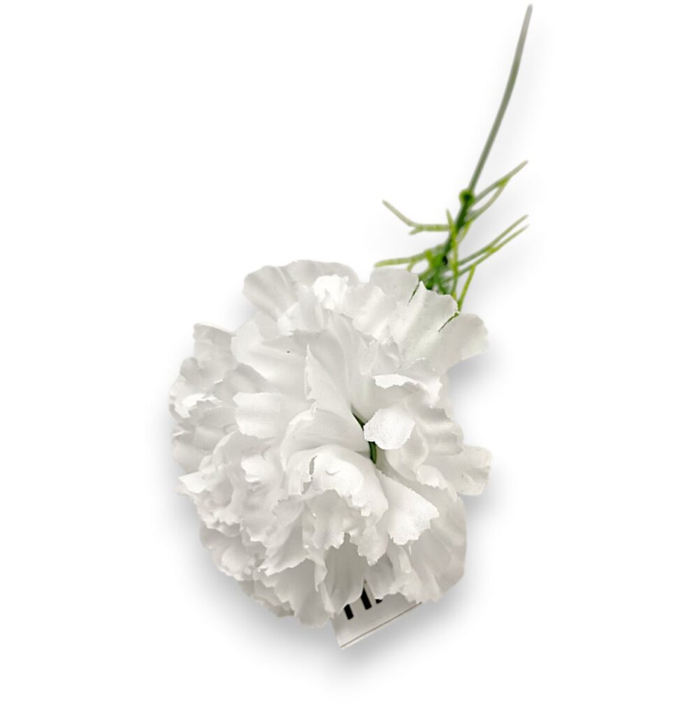 Гілка Гвоздики «Діантус» біла