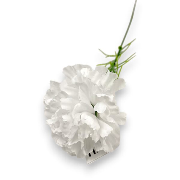 Гілка Гвоздики «Діантус» біла