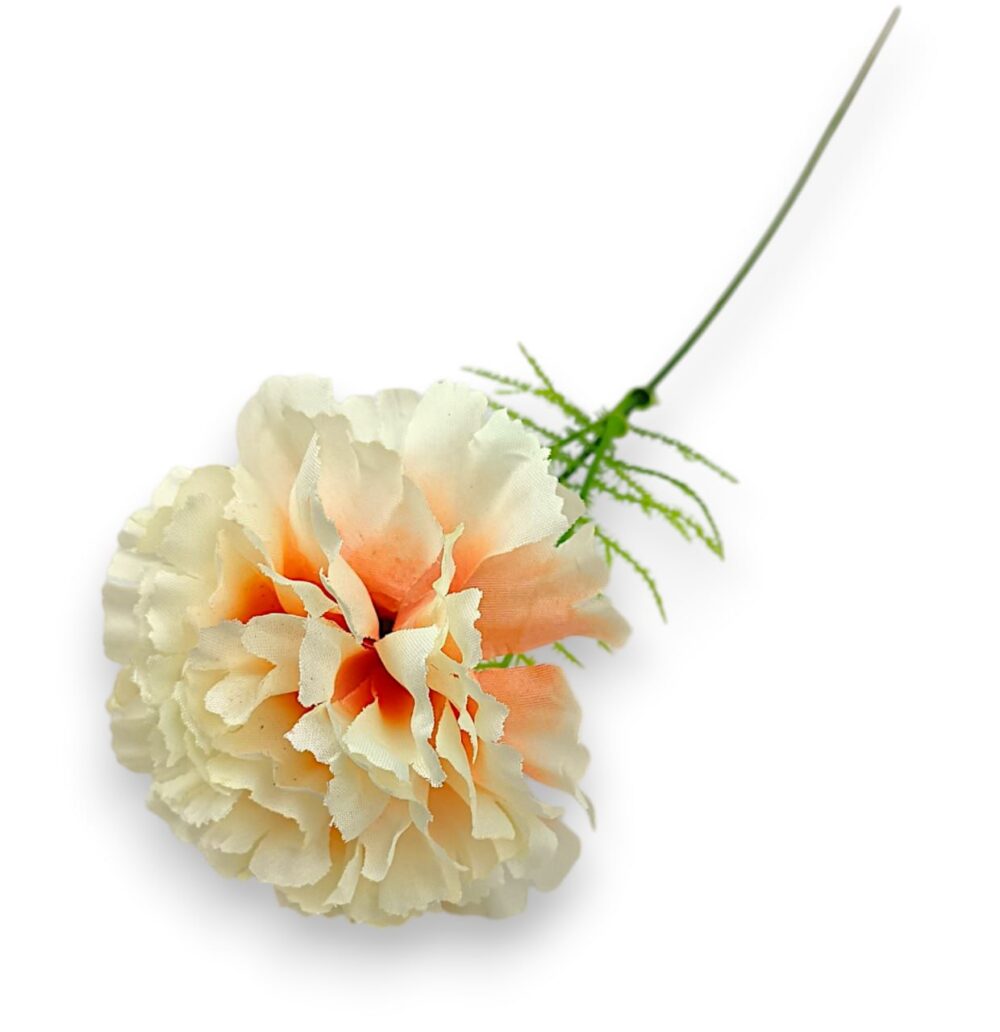 Гілка Гвоздики «Діантус» персик