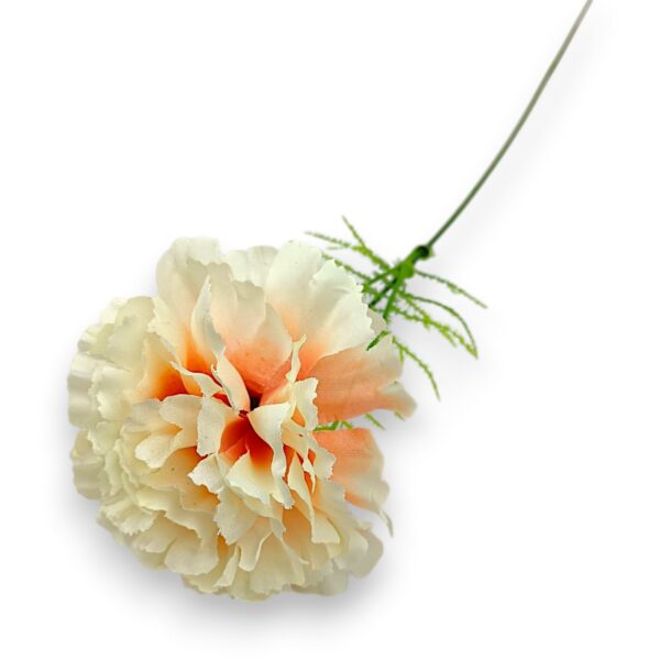 Гілка Гвоздики «Діантус» персик