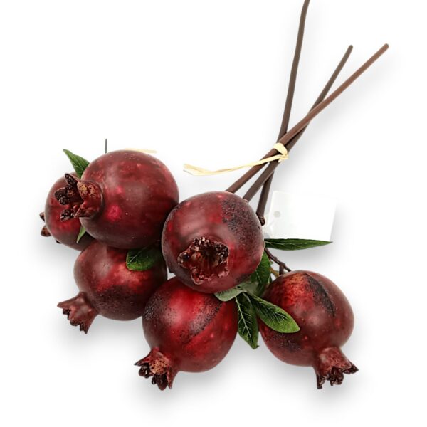 Пучок Декоративних Гранатів