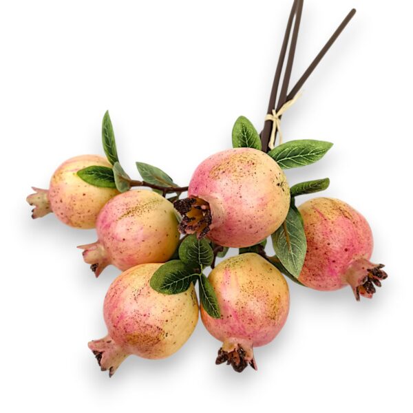 Пучок Декоративних Гранатів