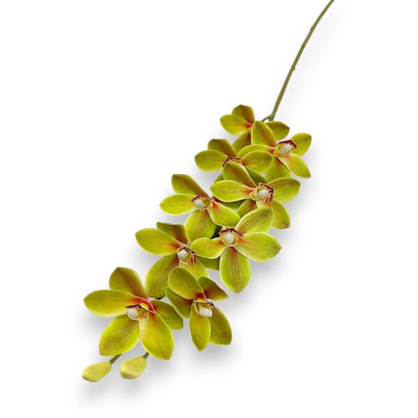 Гілка Орхідеї Цимбідіум «Real Touch»зелена