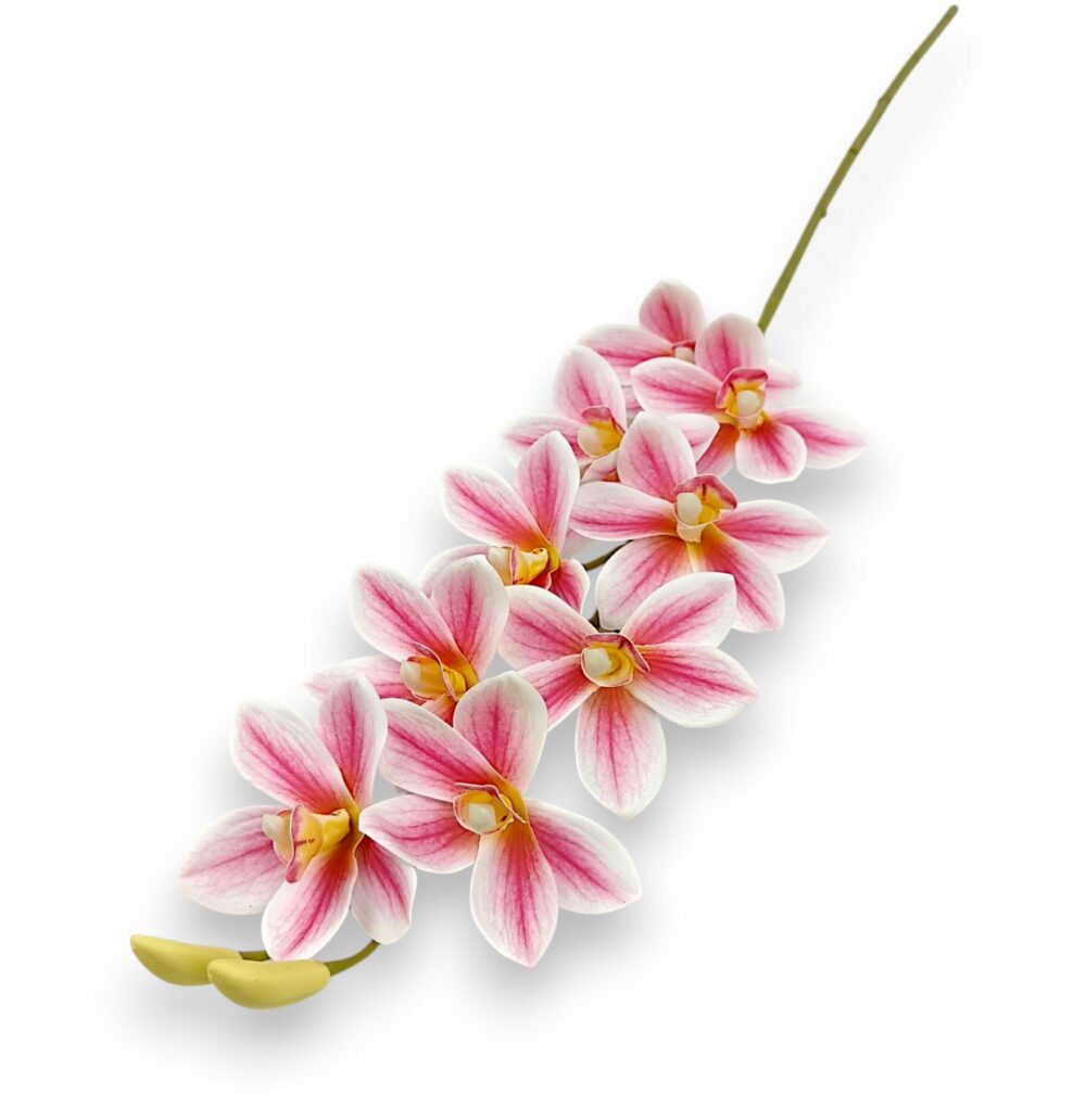 Цимбидіум високий рожевий