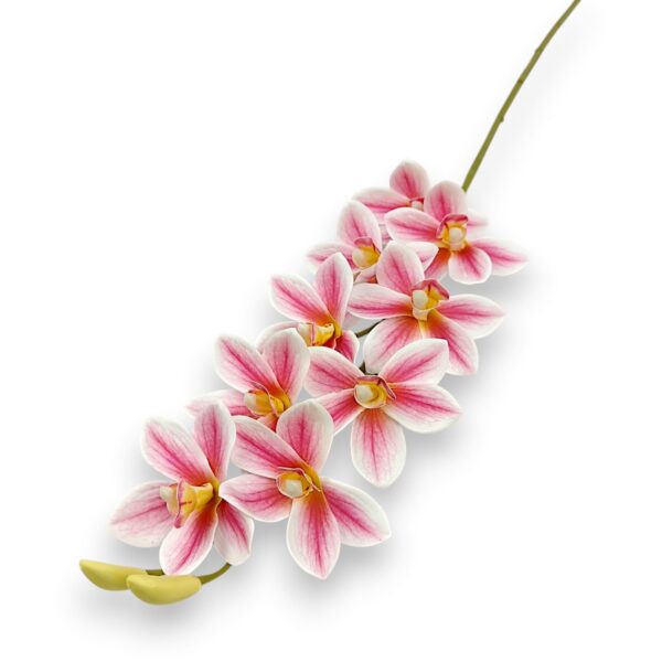 Гілка Орхідеї Цимбідіум «Real Touch»рожева