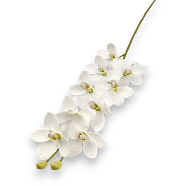 Гілка Орхідеї Цимбідіум «Real Touch»біла