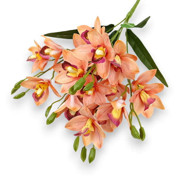 Букет Орхідей Цимбідіум персик