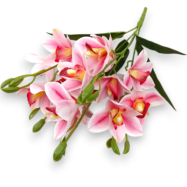 Букет Орхідей Цимбідіум рожевий