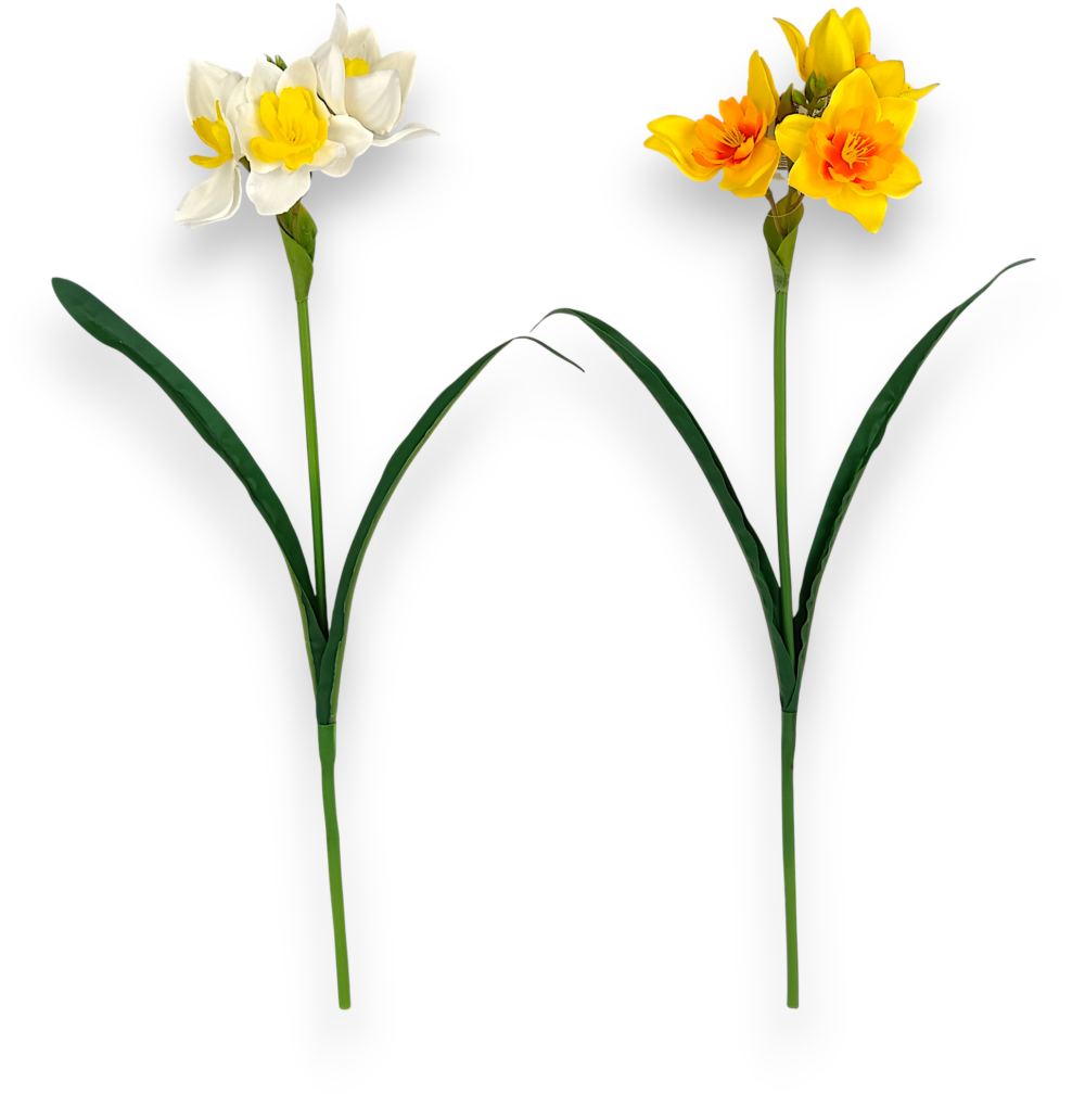 Нарциси Букет білі - Зображення 2