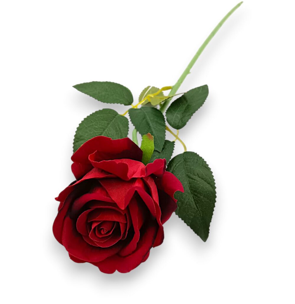 Троянда оксамитова червона