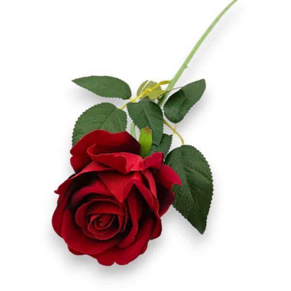 Троянда оксамитова червона