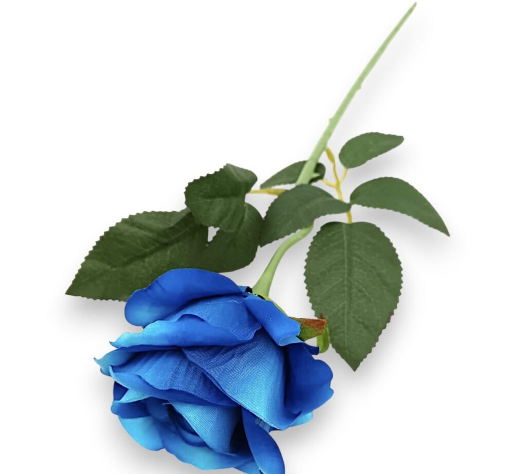 Троянда оксамитова синя