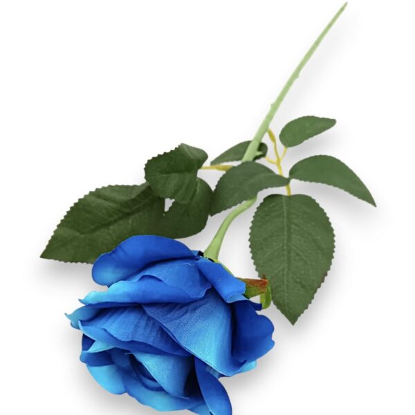 Троянда оксамитова синя