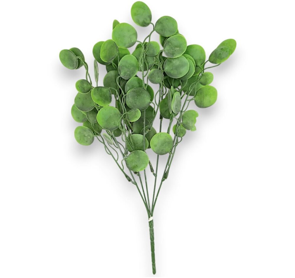 Кущ лунарію штучного