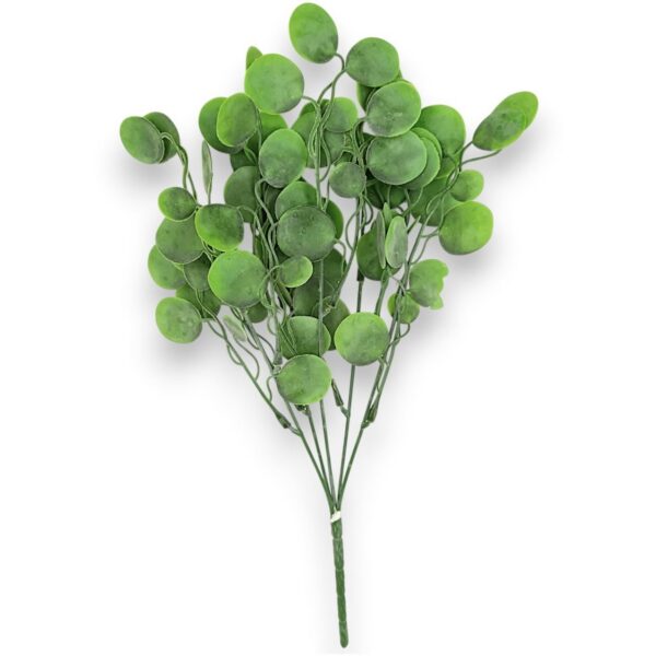 Кущ лунарію штучного