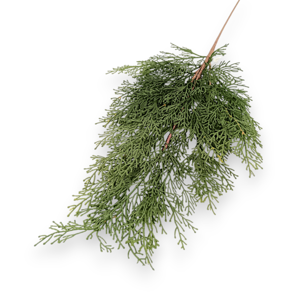 Гілка Декоративної Туї (Кедра) Лита «Premium»