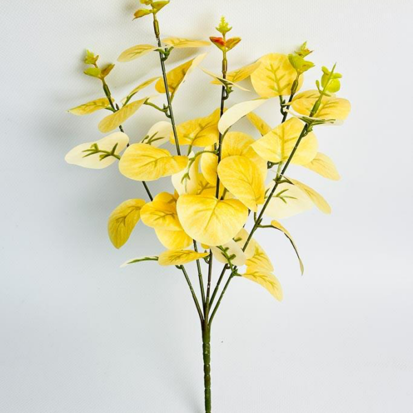 Гілка Штучного Евкаліпта