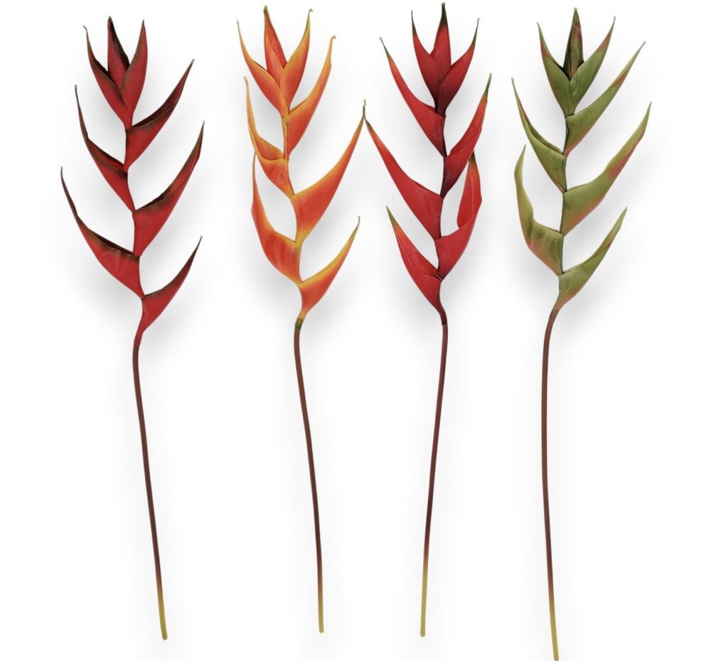 Гілка Штучної Геліконії - Зображення 2