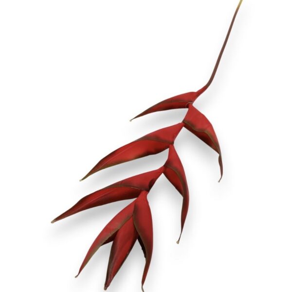 Гілка Штучної Геліконії