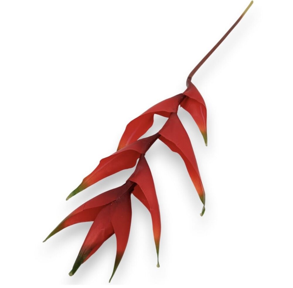 Гілка Штучної Геліконії