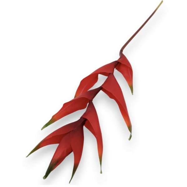 Гілка Штучної Геліконії