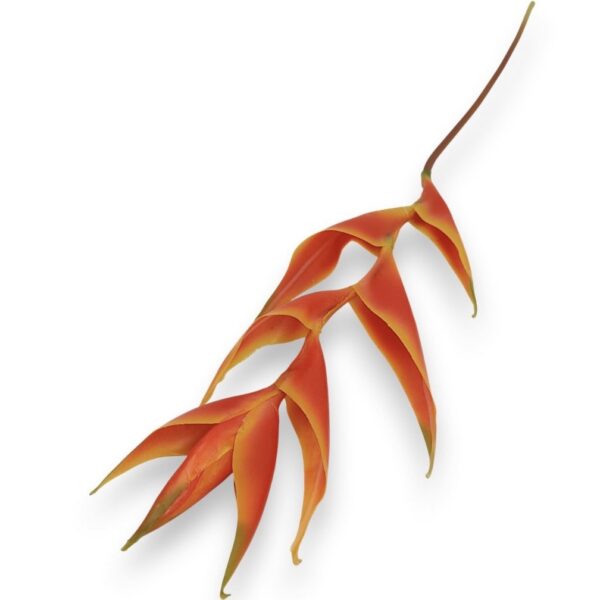 Гілка Штучної Геліконії