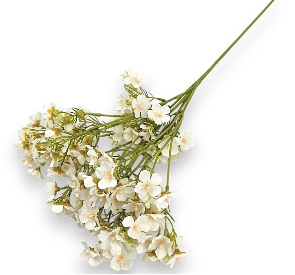 Гілка Штучної Незабудки