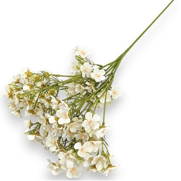 Гілка Штучної Незабудки