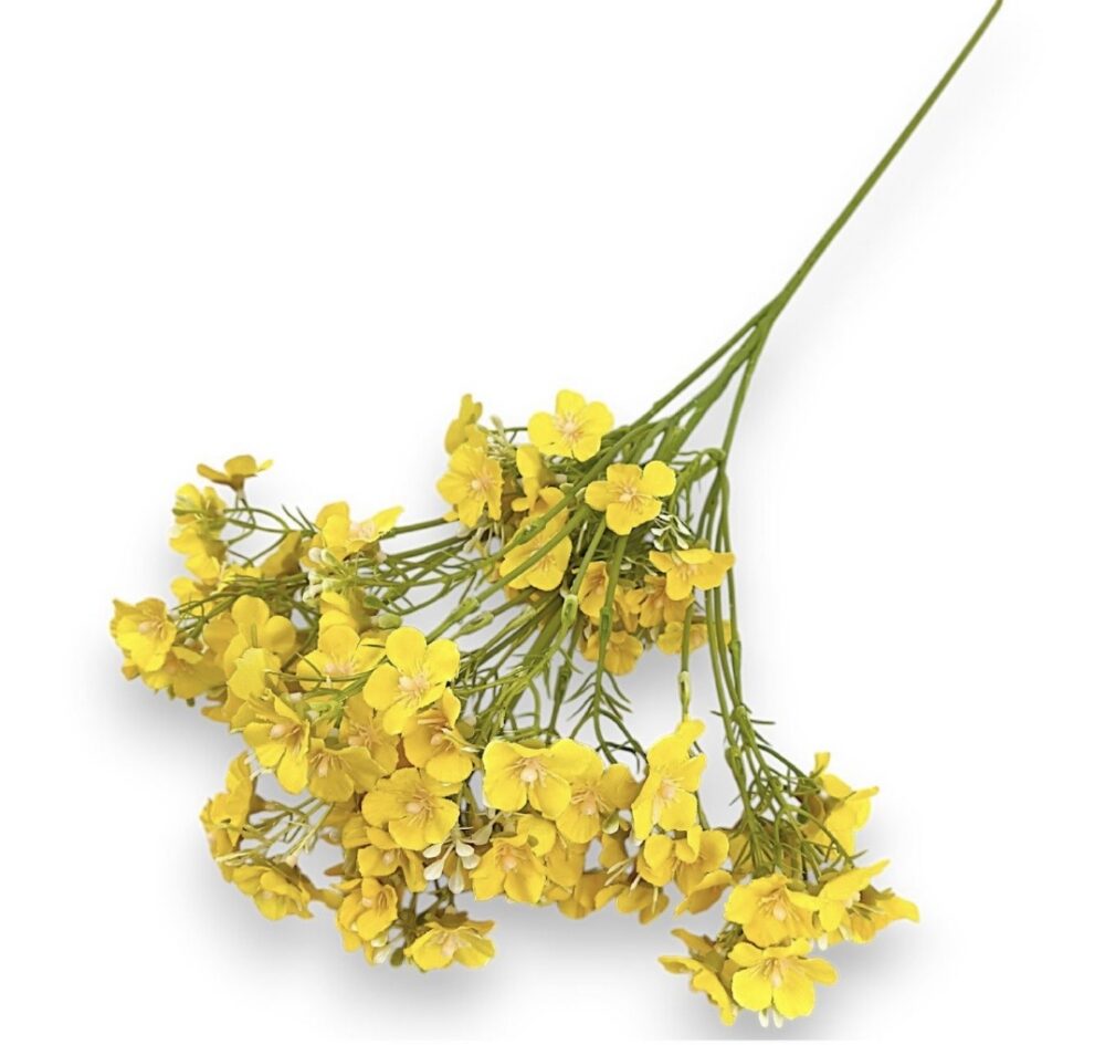 Гілка Штучної Незабудки