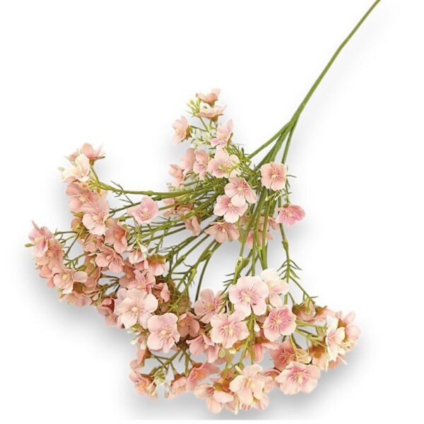 Гілка Штучної Незабудки