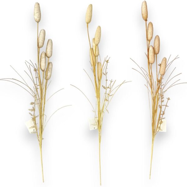 Штучний Сухоцвіт легарус