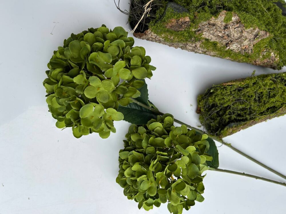 Королівська гортензія зелена